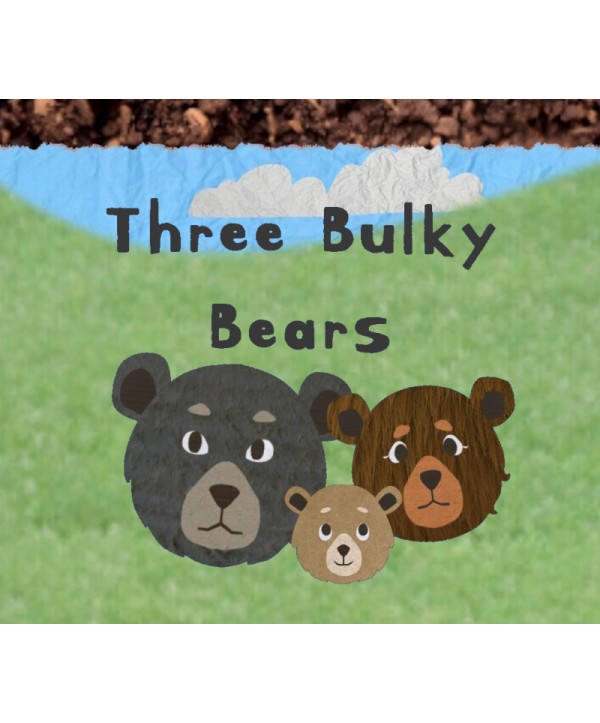 Three Bulky Bears Steam Key GLOBAL